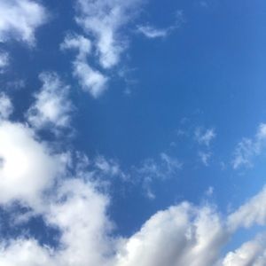 Meet your Posher, Zoey